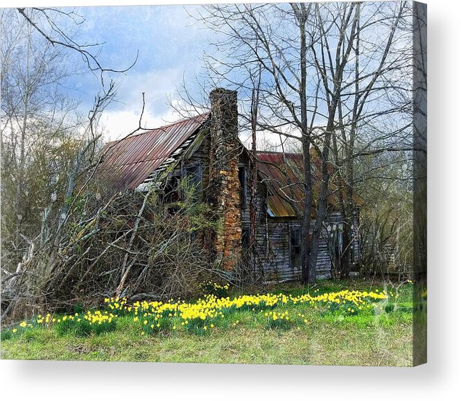 Barn Acrylic Print featuring the photograph Everything Old is New Again by Joe Duket