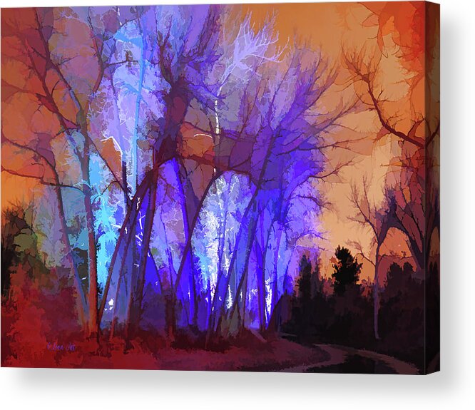 Lenaowens Acrylic Print featuring the digital art Fairy Tales Do Come True by OLena Art