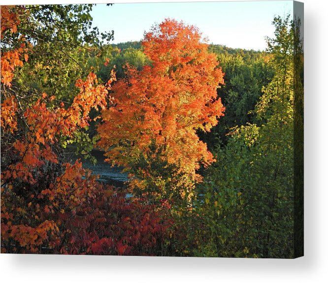 Landscape Acrylic Print featuring the photograph Fall 2016 1 by George Ramos