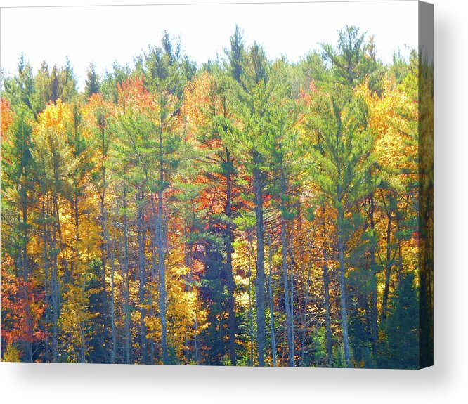 Landscape Acrylic Print featuring the photograph Fall 2016 106 by George Ramos