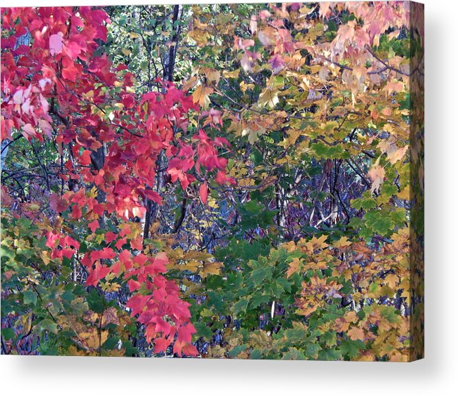 Landscape Acrylic Print featuring the photograph Fall 2016 3 by George Ramos