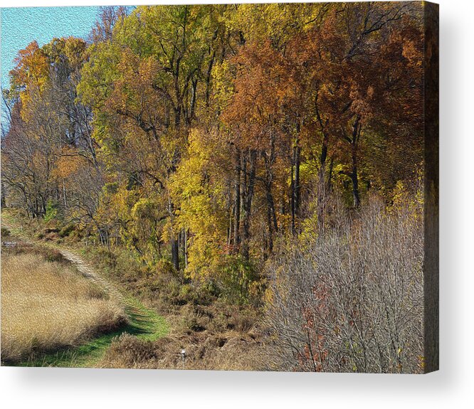 Landscape Acrylic Print featuring the photograph Fall Colors as Oil by Paul Ross