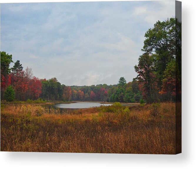 Morning Acrylic Print featuring the photograph Fall Colors at Gladwin 4459 by Wesley Elsberry