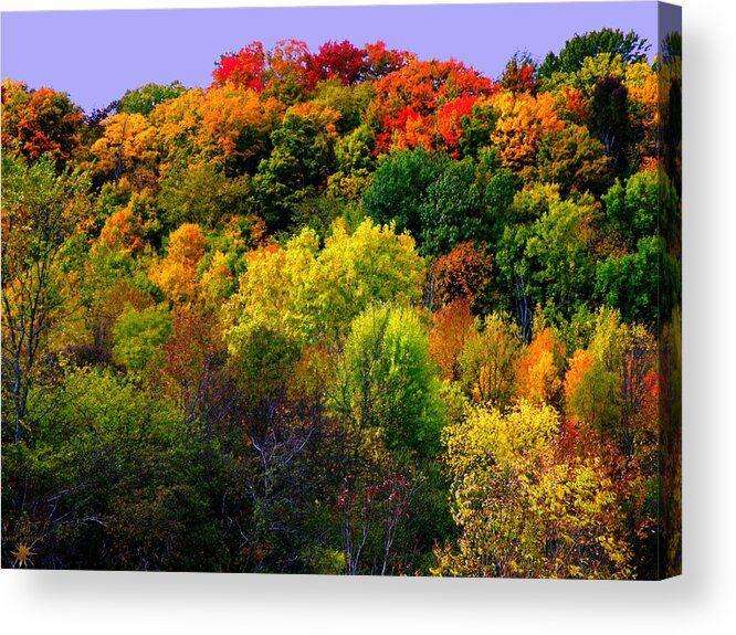 Hovind Acrylic Print featuring the photograph Fall Colors by Scott Hovind