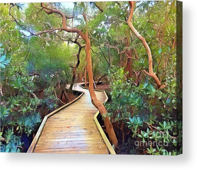 Landscape Acrylic Print featuring the photograph Fantasy Boardwalk Through Mangroves by Carol Riddle