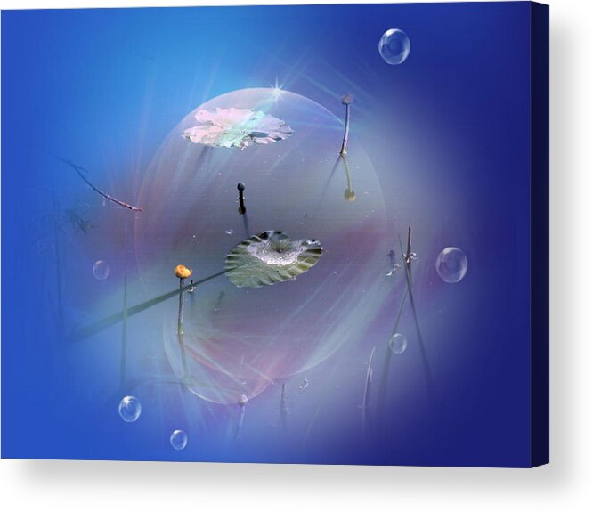  Water Acrylic Print featuring the photograph Fantasy by Vesna Martinjak