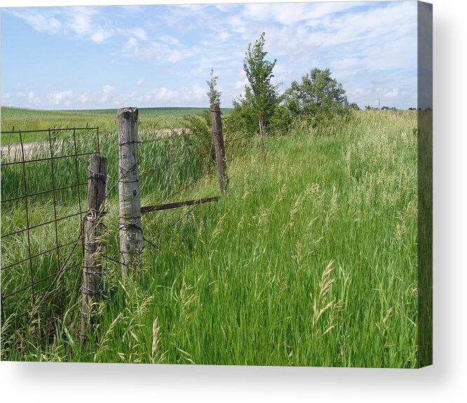 Kevin Callahan Acrylic Print featuring the photograph Fence Row Iowa by Kevin Callahan