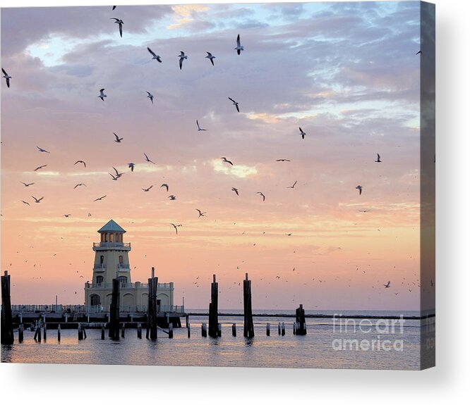 Marina-lighthouse-beau Rivage Acrylic Print featuring the photograph First Flight at First Light by Scott Cameron