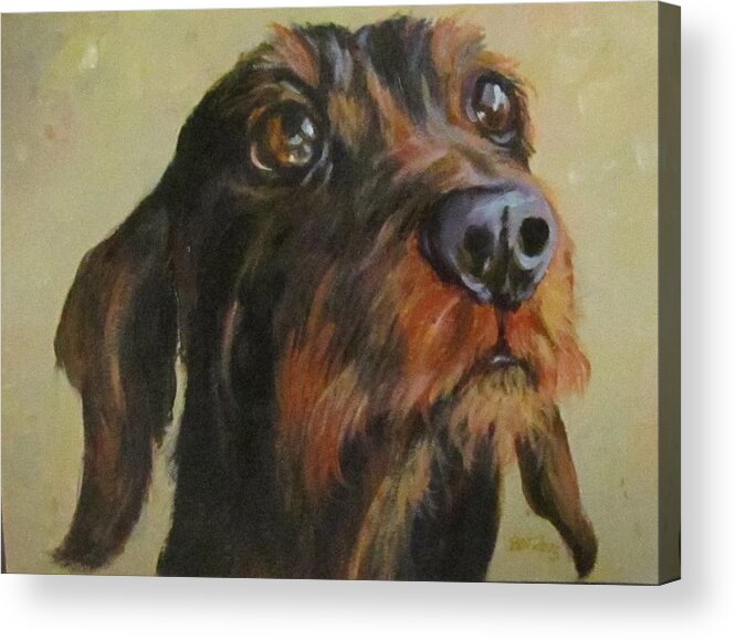 Dog Acrylic Print featuring the painting Flavi by Barbara O'Toole