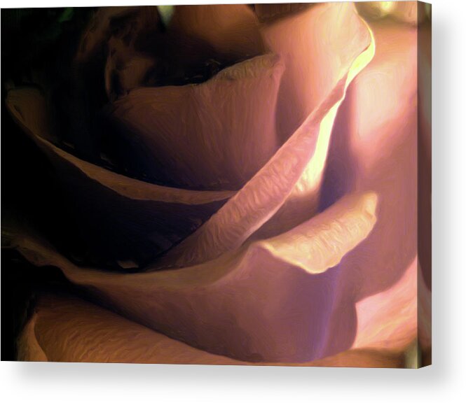 Flower Acrylic Print featuring the digital art Fleur D'Amour by Holly Ethan