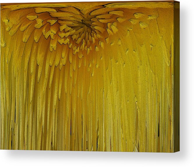 Flower Acrylic Print featuring the digital art Floral Falls 5 by Tim Allen
