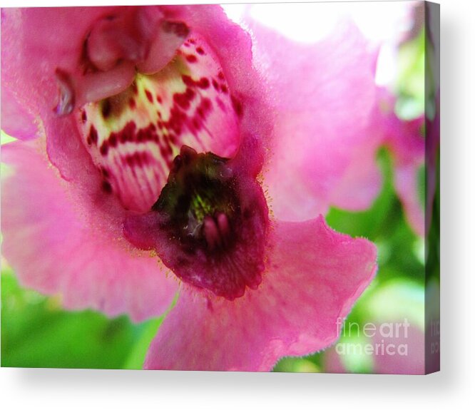 Floral Acrylic Print featuring the photograph Floral Mask by Sharon Ackley