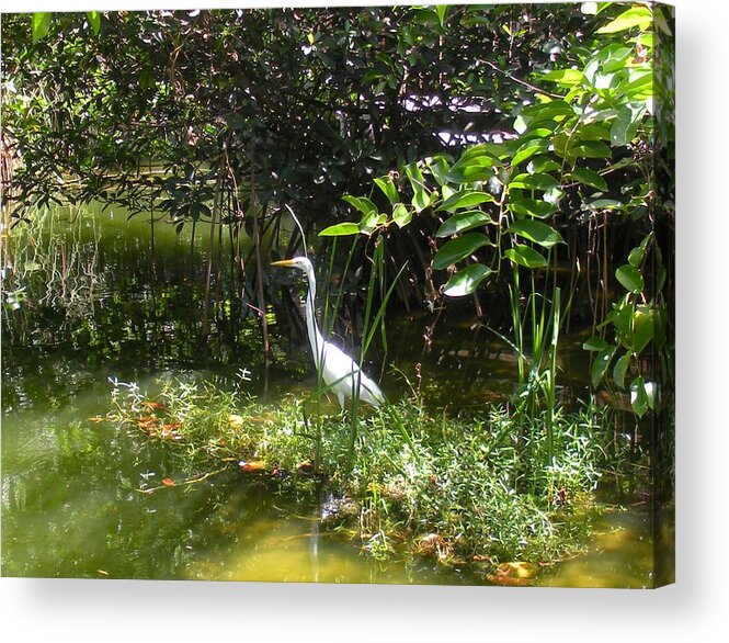 Heron Acrylic Print featuring the photograph Floridian Serenity by Maria Bonnier-Perez