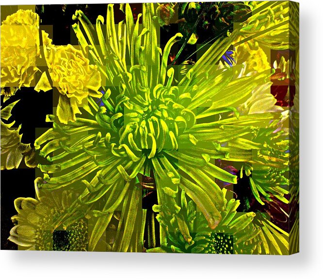 Flower Acrylic Print featuring the photograph Flourishing Opportunities by Andy Rhodes