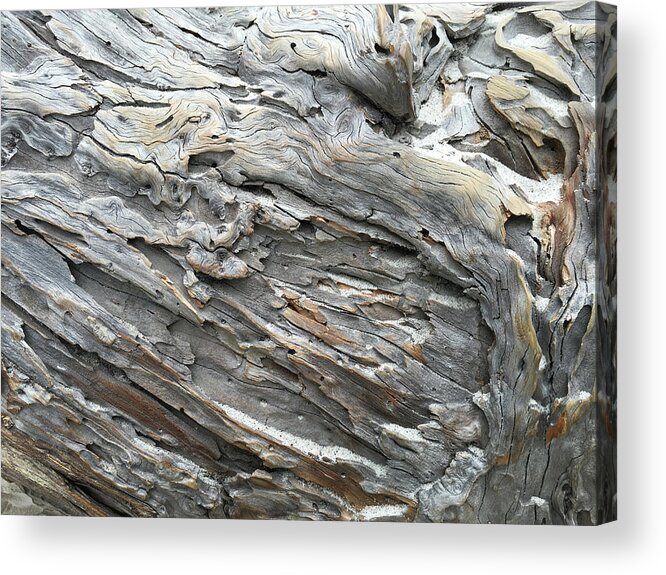Cypress Wood Acrylic Print featuring the photograph Flow by Cheryl Goodberg