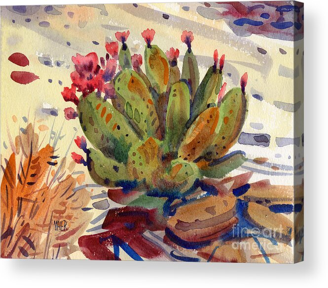 Opuntia Cactus Acrylic Print featuring the painting Flowering Opuntia by Donald Maier