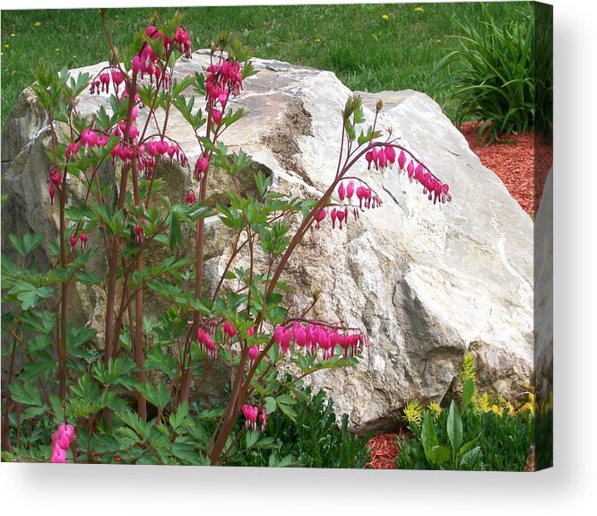Photography Acrylic Print featuring the digital art Flowers on the Rocks by Barbara S Nickerson