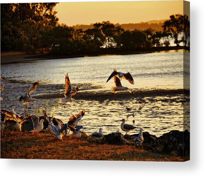Landscape Acrylic Print featuring the photograph Flying Birds by Michael Blaine
