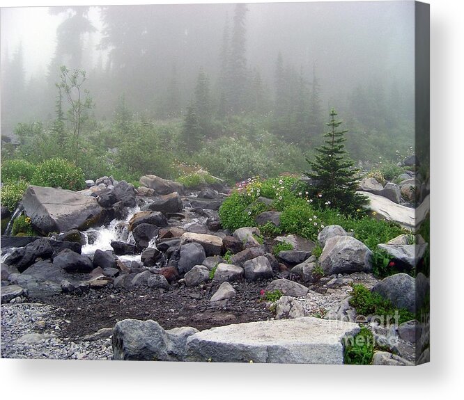 Fog Acrylic Print featuring the photograph Foggy Morning at Paradise by Charles Robinson