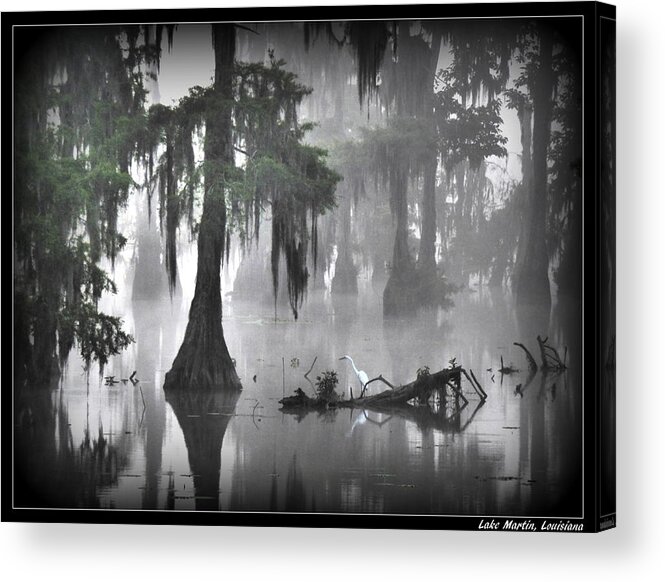 Orcinus Fotograffy Acrylic Print featuring the photograph Tread Here Carefully by Kimo Fernandez