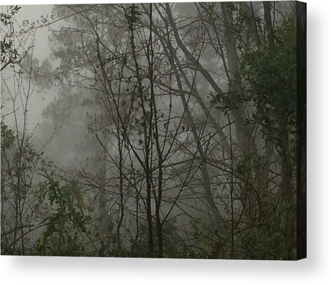 Fog Acrylic Print featuring the photograph Foggy Woods Photo by Gina O'Brien