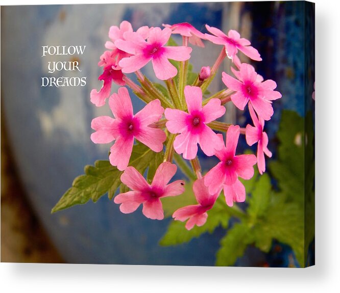 Pink Flowers Acrylic Print featuring the photograph Follow your dreams by Sue Morris