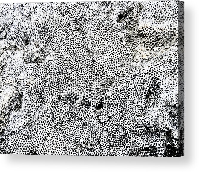 Abstract Acrylic Print featuring the photograph Fossil Rock Abstract 12 by Bob Slitzan