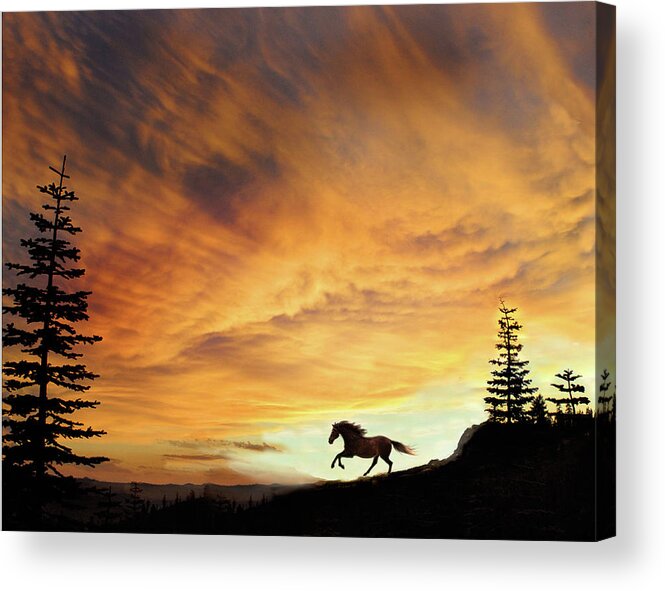 Sunset Acrylic Print featuring the photograph Freedom by Melinda Hughes-Berland
