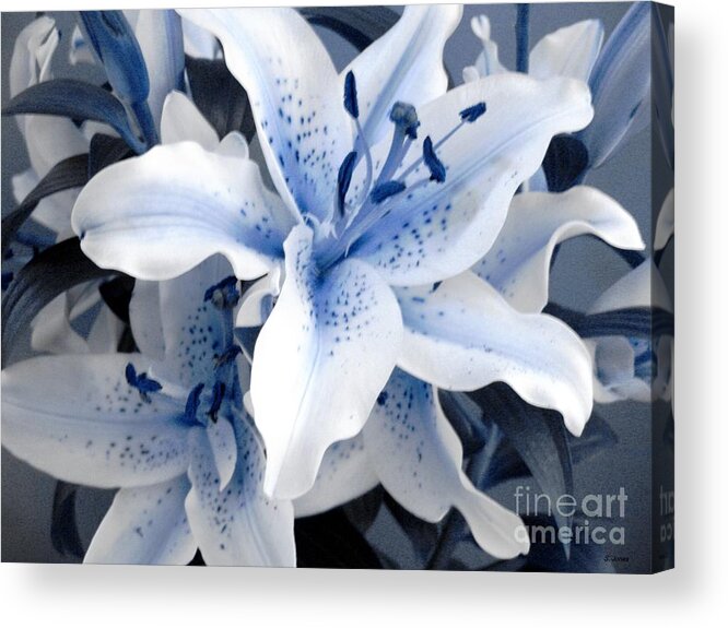 Blue Acrylic Print featuring the photograph Freeze by Shelley Jones
