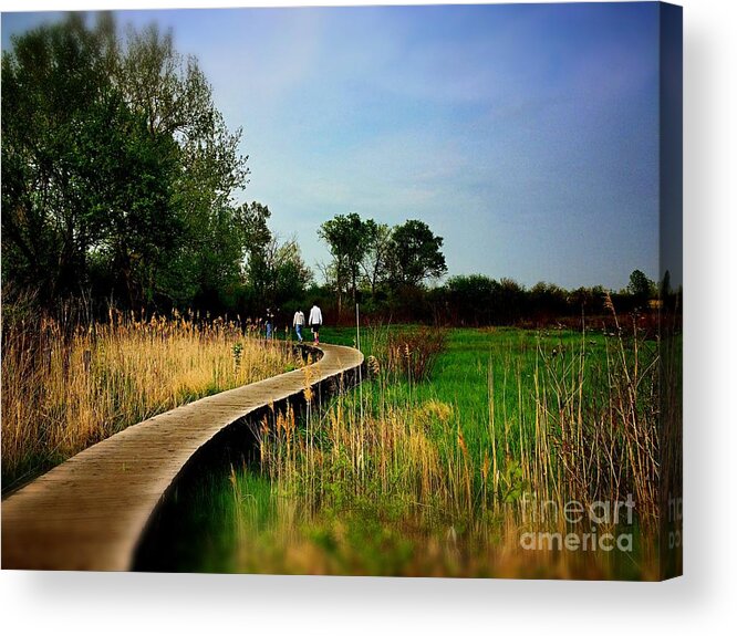 Frank J Casella Acrylic Print featuring the photograph Friends Walking the Wetlands Trail by Frank J Casella