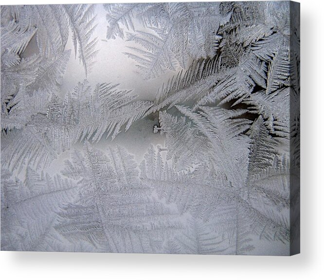 Frost Acrylic Print featuring the photograph Frosted Pane by Rhonda Barrett