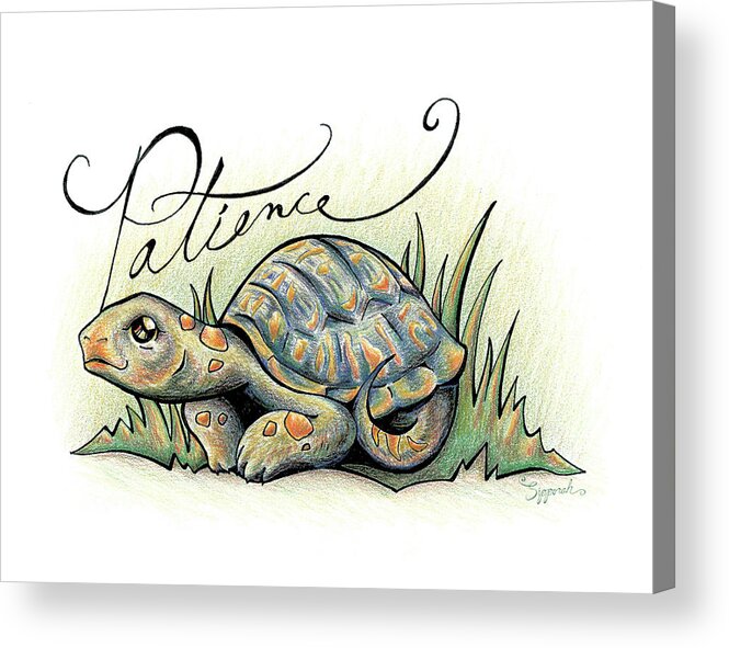Inspiring Acrylic Print featuring the drawing Inspirational Animal TORTOISE by Sipporah Art and Illustration