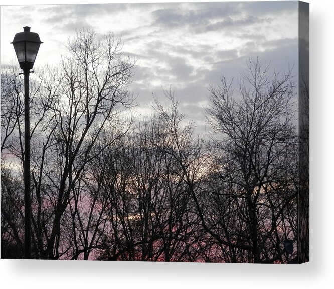 #pinks Acrylic Print featuring the photograph Georgia Suburbs Morning Sky by Belinda Lee