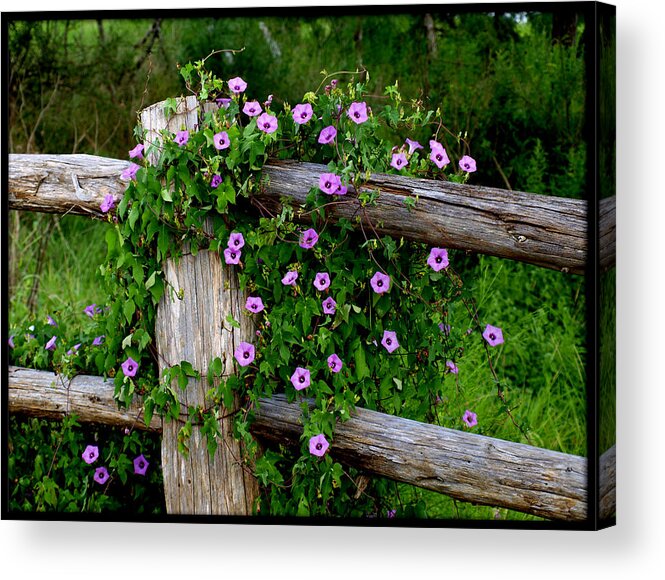 Floral Acrylic Print featuring the photograph Glorious Morning by James Granberry