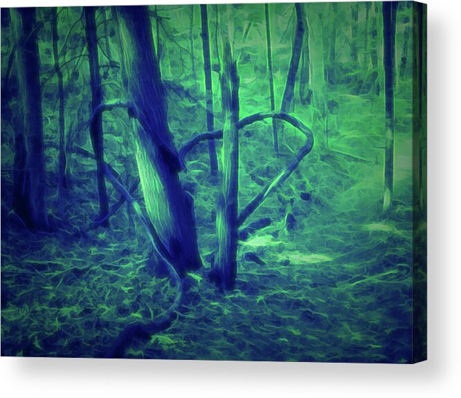 Nature Acrylic Print featuring the photograph Glow in the Dark Heart Shaped Roots by Aimee L Maher ALM GALLERY