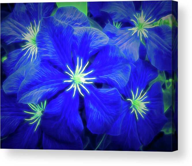 Flower Acrylic Print featuring the photograph Glow in the dark Passion by Aimee L Maher ALM GALLERY