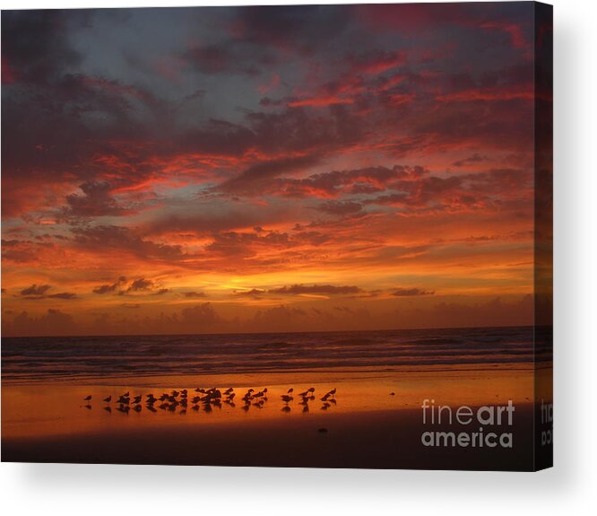 Sunrise Prints Acrylic Print featuring the photograph Golden morning 5-26-15 by Julianne Felton