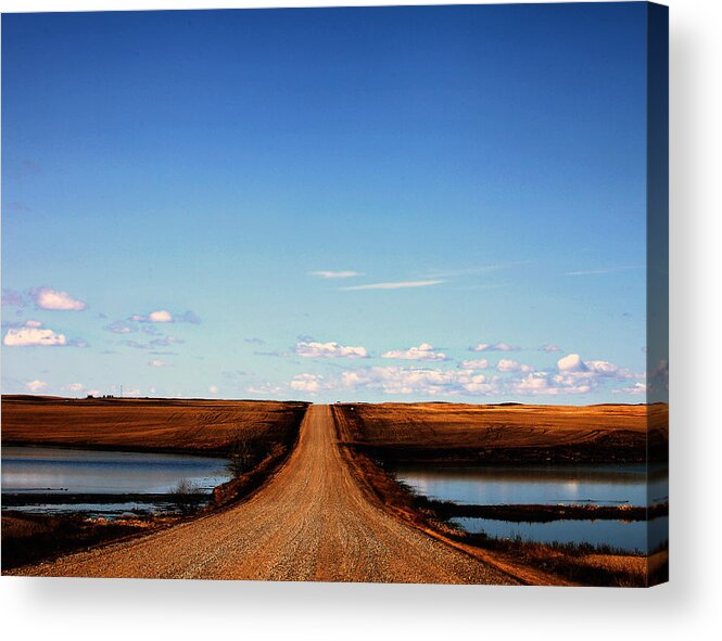  Acrylic Print featuring the photograph Golden Prairie by Darcy Dietrich