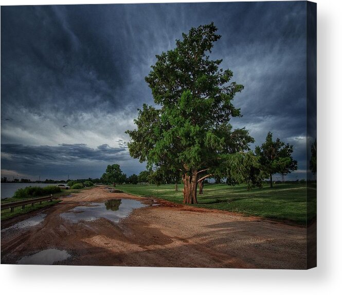Lake Overholser Acrylic Print featuring the photograph Good Morning Tree and Sky by Buck Buchanan
