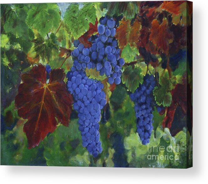 Art Acrylic Print featuring the painting Grapes ready for harvest by Donna Walsh