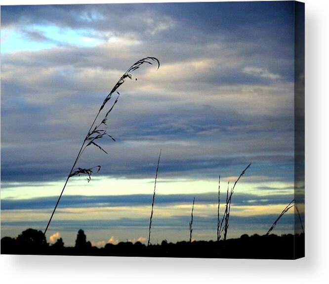 Sky Acrylic Print featuring the photograph Grass against abstract sky by Susan Baker