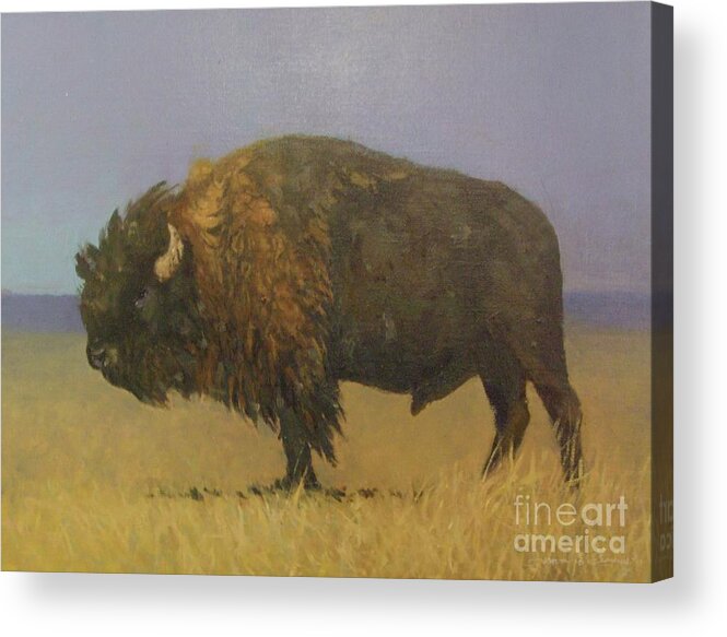 Bison Acrylic Print featuring the painting Great American Bison by Jessica Anne Thomas