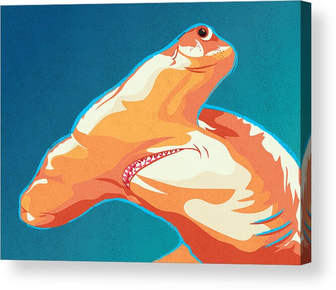 Great Hammerhead Shark Acrylic Print featuring the digital art Great Hammerhead by Kevin Putman