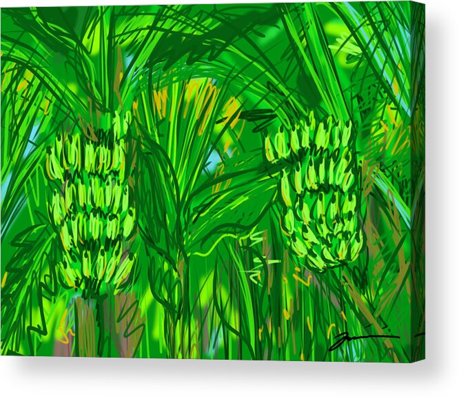 Green Acrylic Print featuring the digital art Green Bananas by Jean Pacheco Ravinski