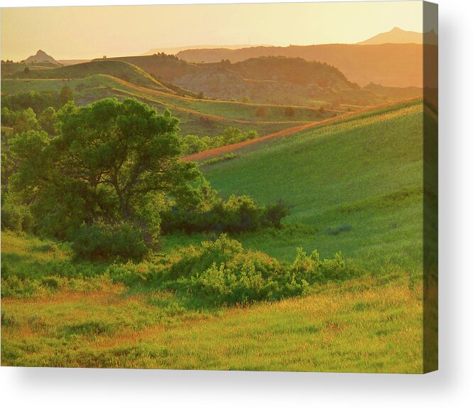 North Dakota Acrylic Print featuring the photograph Green Dakota Dream by Cris Fulton