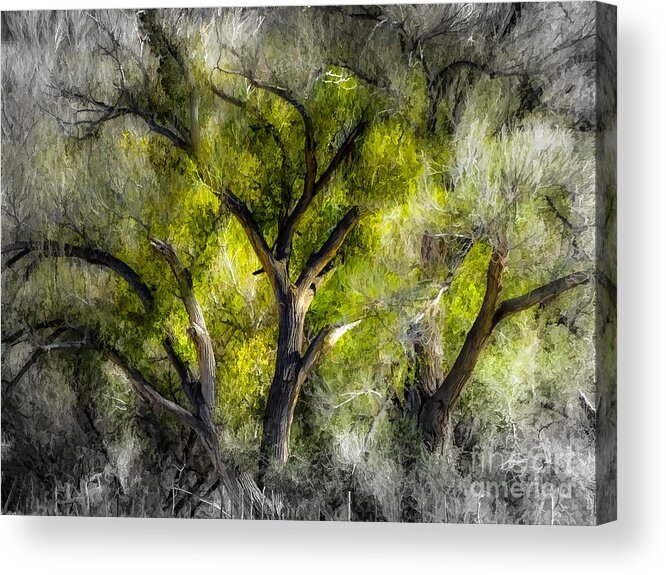 Green Acrylic Print featuring the photograph Green Fire Trois by Margaux Dreamaginations