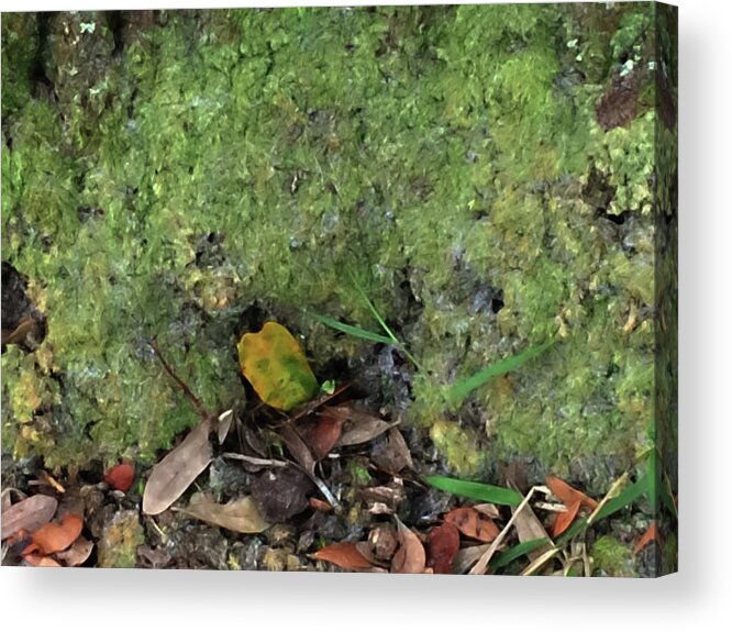 Ground Cover Acrylic Print featuring the photograph Green Man Spirit Photo by Gina O'Brien