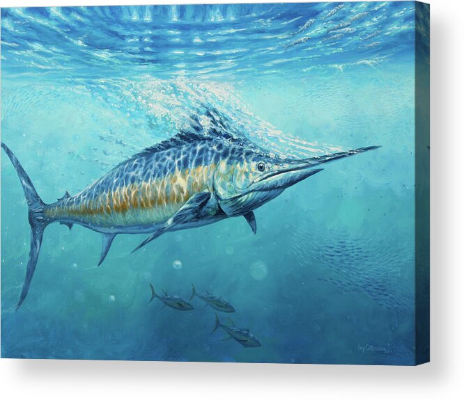 Blue Marlin Paintings Acrylic Print featuring the painting Gulf Stream by Guy Crittenden