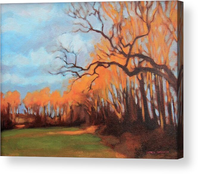 Sunset Acrylic Print featuring the painting Haunting Glow by Andrew Danielsen