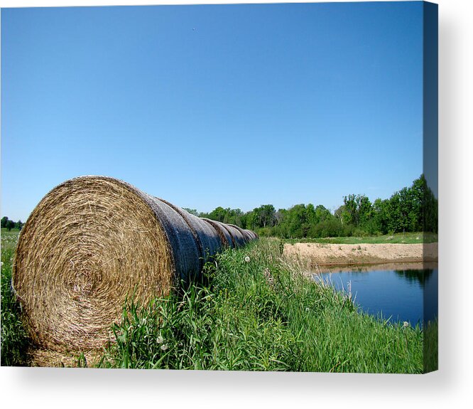 Landscape Acrylic Print featuring the photograph Hay Roll by Todd Zabel